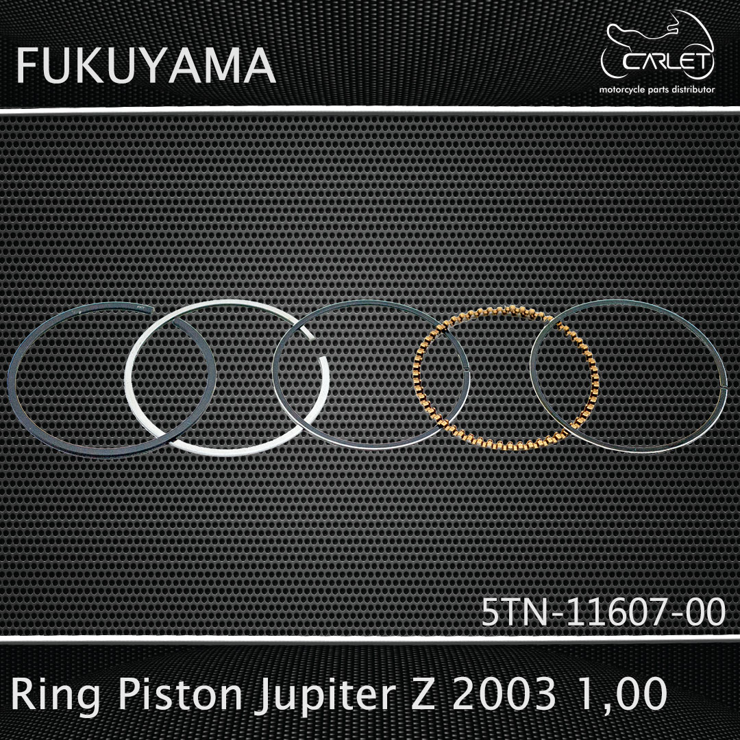 Fukuyama Ring Seher / Ring Piston Jupiter Z 03